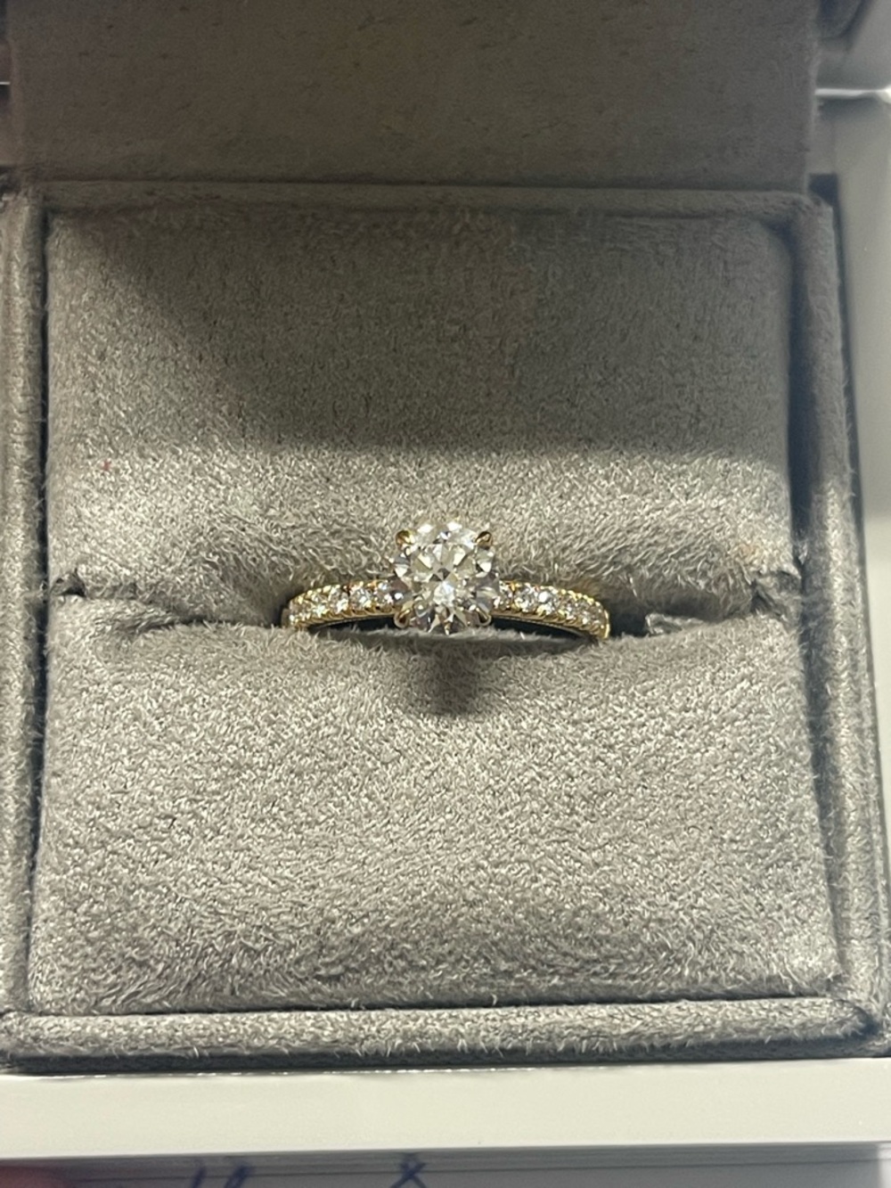 Reeds Gold Diamond Halo Engagement Ring - 14K Gold